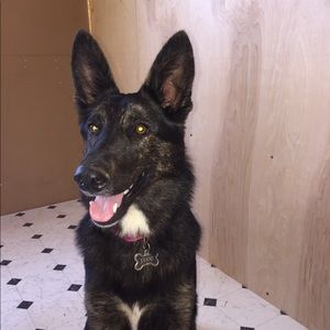 Meet your Posher, Vicki